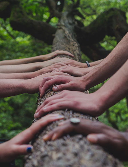 __wf_reserved_decorative